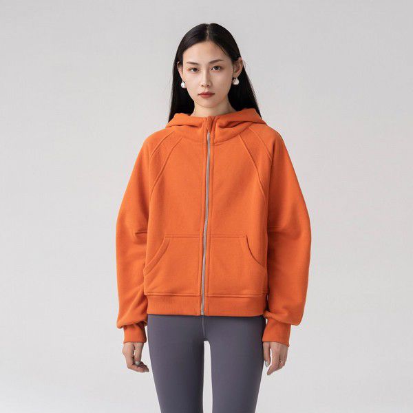 Autumn new style solid color plush zippered sweater short hoodie sportswear casual versatile coat women